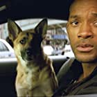 Will Smith and Abbey in I Am Legend (2007)