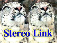 stereo link