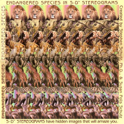 Endangered Species in 5-D Stereograms