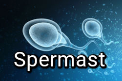 Spermast