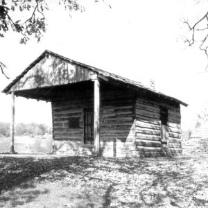 Log cabin with covered entrance and tree