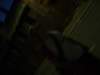 Photo Number 6
